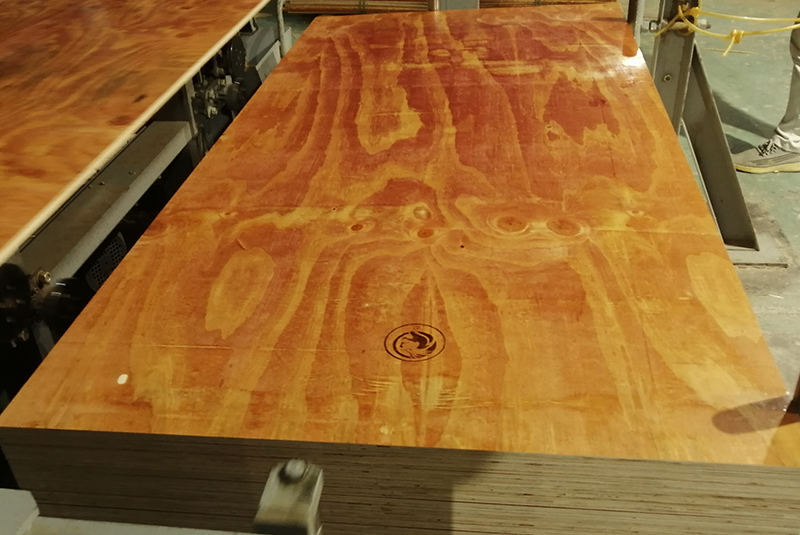 廣西建築模板批發找那個(ge) 廠好插圖
